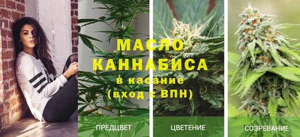 шишки Верхний Тагил