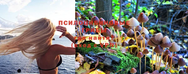 шишки Верхний Тагил
