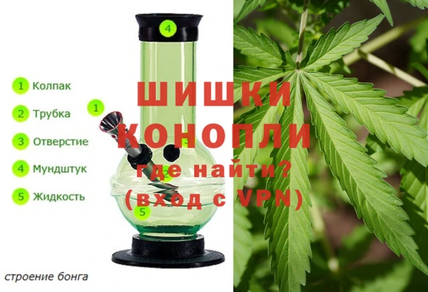 шишки Верхний Тагил