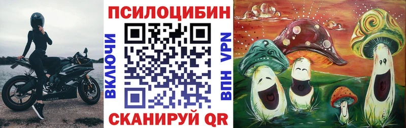 Галлюциногенные грибы мицелий  купить  цена  Малая Вишера 